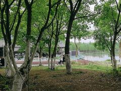 -白鹭湾湿地公园