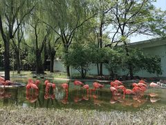 -石家庄市动物园