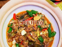 口味甲鱼-湘里乡亲老长沙口味馆