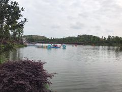 -枫香湖儿童公园