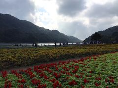-广州市石门国家森林公园