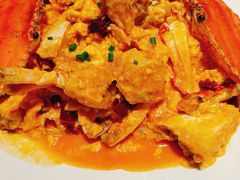 -连鹭海鲜·海肠捞饭·海胆饭(星海店)