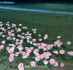 -HEYAN荷妍专业脱毛连锁机构
