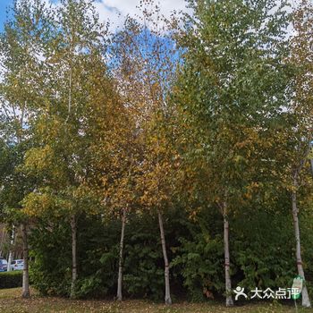 这个国庆黄金周对于绥化人很特别，少了组团出游南国风光