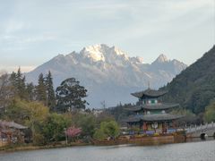 -黑龙潭公园