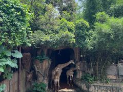 -长鹿旅游休博园