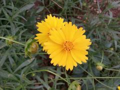 android_upload_pic-济南森林公园