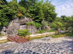 -吴淞炮台湾湿地森林公园烧烤区