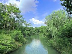 -西溪国家湿地公园