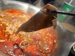 -湊湊火锅·茶憩(皇姑万象汇店)