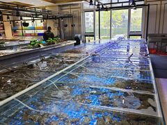 -四海蒸鲜蒸汽海鲜自助(北戴河店)