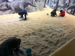 -恐龙探索乐园(磁器口店)