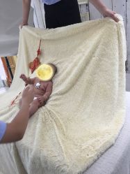 -星豆豆儿童摄影(南郊太白南路店)