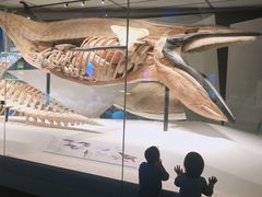 -贝林大翅鲸简餐厅(国家海洋博物馆店)