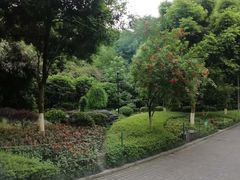 -龙头寺公园