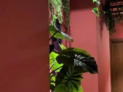 -泰融玺·泰式按摩SPA(包河万达店)