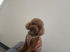 -北京恒爱动物医院(清景园分院)