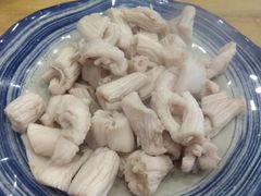 羊肚仁-金生隆(六铺炕店)