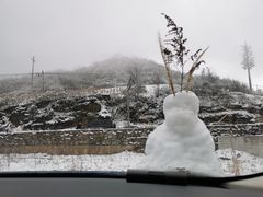 -武陵山森林公园