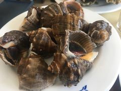 -春华海鲜城(广场西苑店)