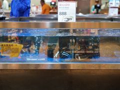 -盒马X会员店(王府井奥莱UP TOWN店)