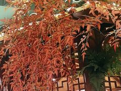 -肖记公安牛肉鱼杂馆· 省级非物质文化遗产(仁和路店)