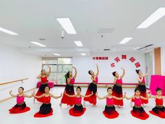 -小芳舞蹈团·少儿舞蹈·中国舞(龙江校区)
