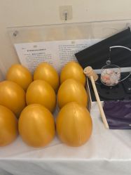 -紫洁俪方（北京）医疗美容