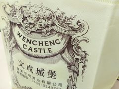 -文成城堡