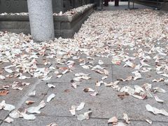 -龙华寺