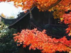 -虎跑公园