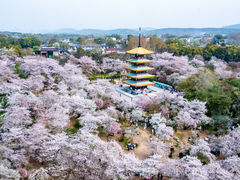 -东湖磨山景区