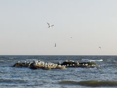 -老虎石海上公园