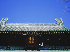 -隆兴寺