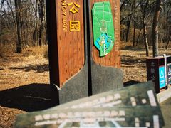 -北陵公园