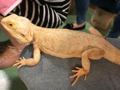 -藦茜花园宠物主题亲子互动体验馆(国顺东路店)