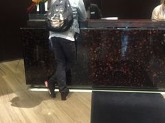 -广州天河希尔顿酒店