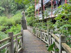 -南宁良凤江国家森林公园