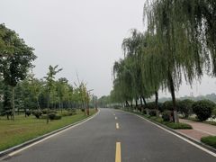 -洨河生态公园