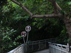 -佛山华盖山公园