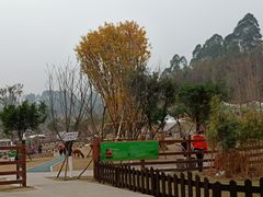 -黄龙溪欢乐田园