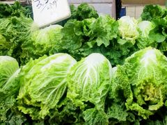 -五里多农博广场