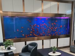 -牙博士口腔品牌连锁(杨浦店)