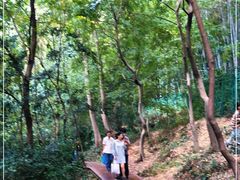 -上海佘山国家森林公园西佘山园