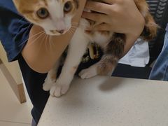 -宠颐生宠物医院·骨外科·犬猫全科诊疗中心(池州店)