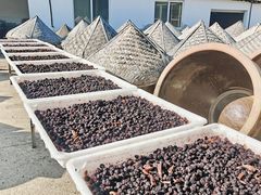 -苏州市吴中区光福窑上花果蜜饯厂