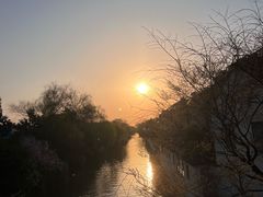 -百年老字号·观振兴蟹黄面·三虾面·苏式面(观前街富仁坊巷店)