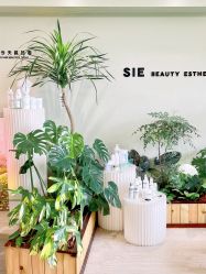 -Lumi露米·美甲美睫品质店