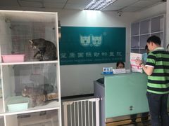 -萌兽医馆·绝育·24小时内科·宠物医院(德胜店)