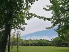 -中国浦东干部学院